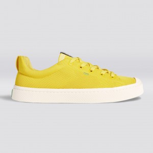 Men Cariuma Low Top Bamboo Weave Knit Vegan IBI Sun Yellow | 951604-VDG