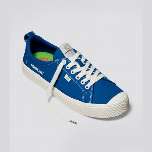 Men Cariuma Low Top Canvas OCA LOW Classic Blue | 637924-QPK