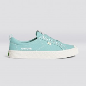 Men Cariuma Low Top Canvas OCA LOW Eggshell Blue | 630985-XCN