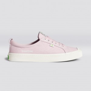 Men Cariuma Low Top Canvas OCA LOW Pale Lilac | 715493-VLM