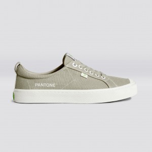 Men Cariuma Low Top Canvas OCA LOW Plaza Taupe | 817206-DZR