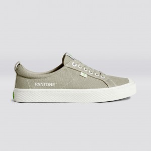 Women Cariuma Low Top Canvas OCA LOW Plaza Taupe | 248960-YPX