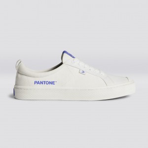 Women Cariuma Low Top Canvas Vegan OCA LOW Off-White / Very Peri Canvas | 326471-JXB