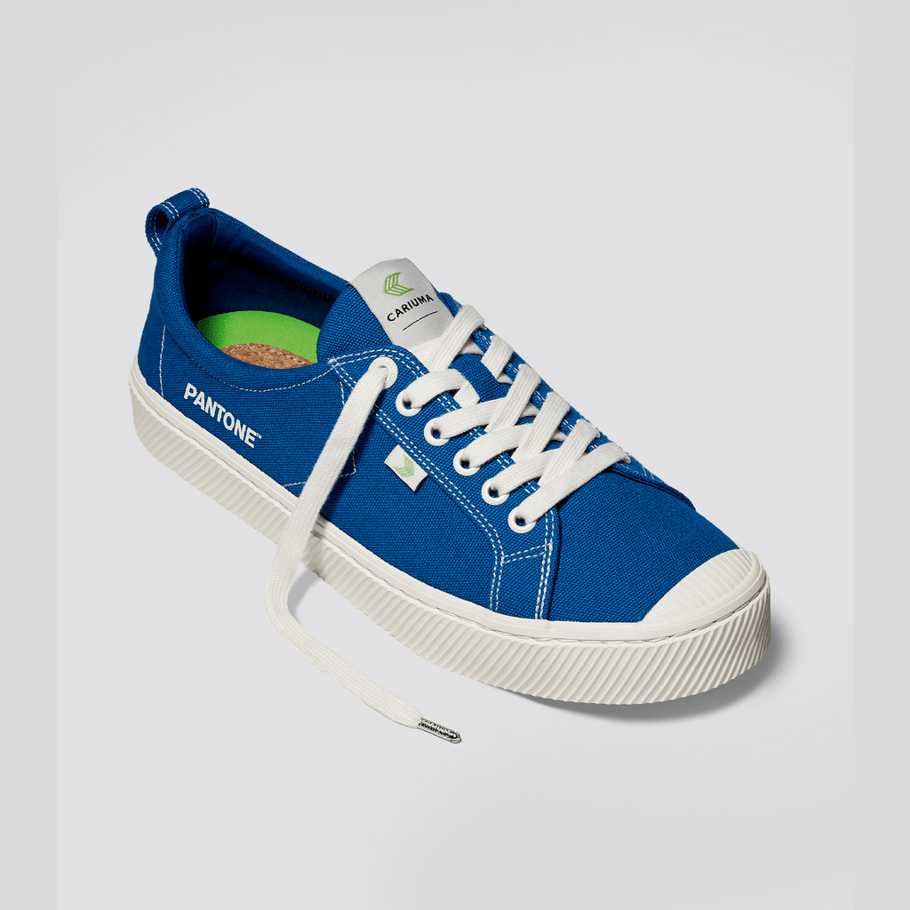 Men Cariuma Low Top Canvas OCA LOW Classic Blue | 637924-QPK