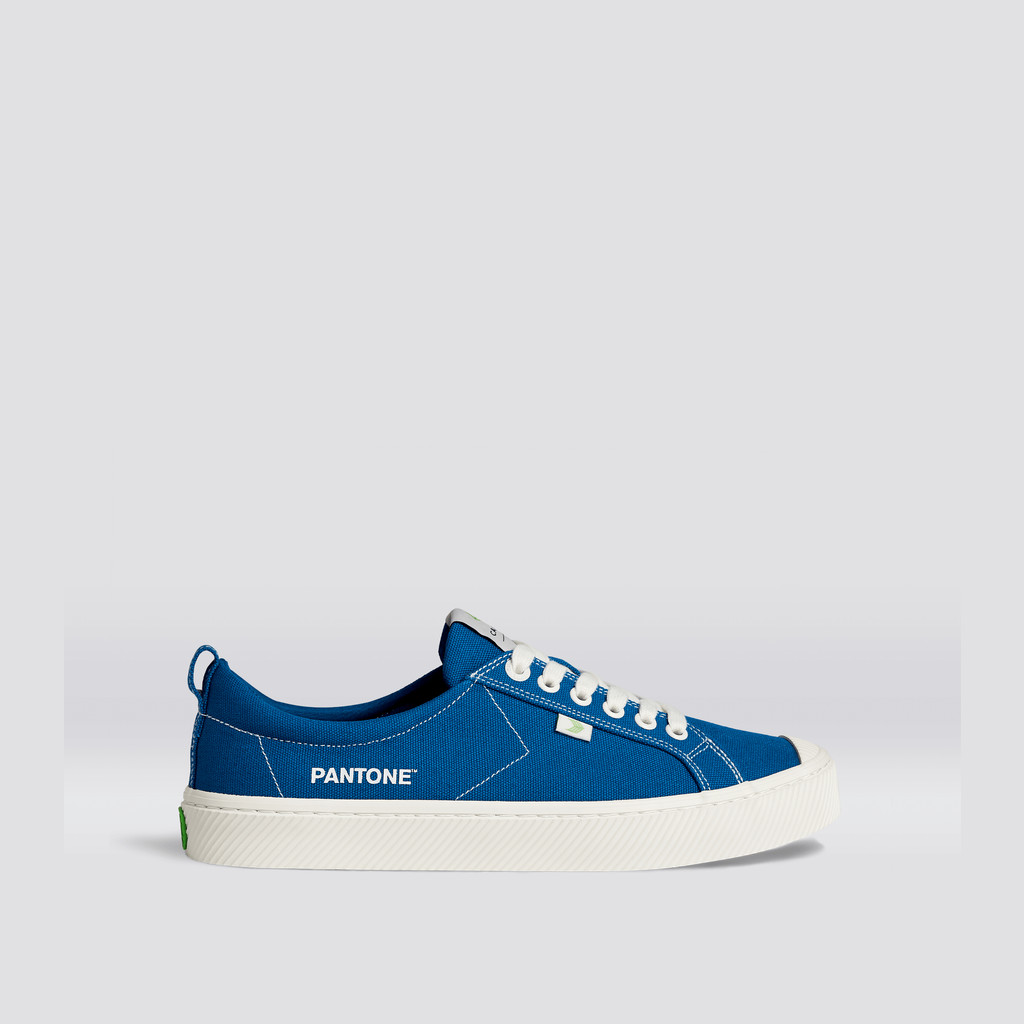 Men Cariuma Low Top Canvas OCA LOW Classic Blue | 637924-QPK