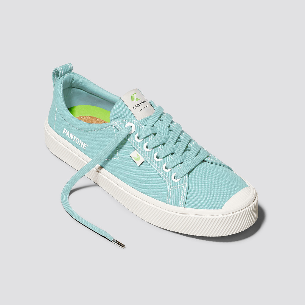 Men Cariuma Low Top Canvas OCA LOW Eggshell Blue | 630985-XCN