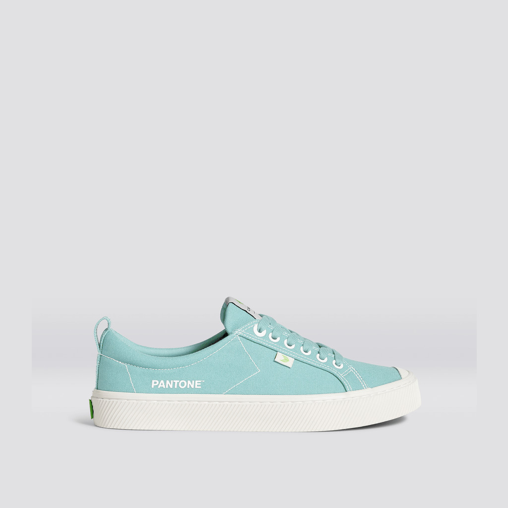 Men Cariuma Low Top Canvas OCA LOW Eggshell Blue | 630985-XCN