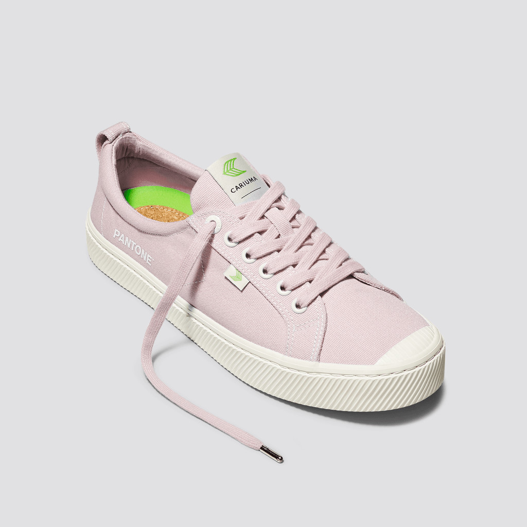 Men Cariuma Low Top Canvas OCA LOW Pale Lilac | 715493-VLM