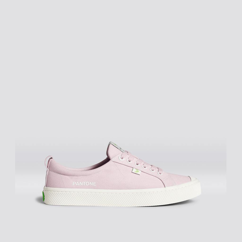 Men Cariuma Low Top Canvas OCA LOW Pale Lilac | 715493-VLM