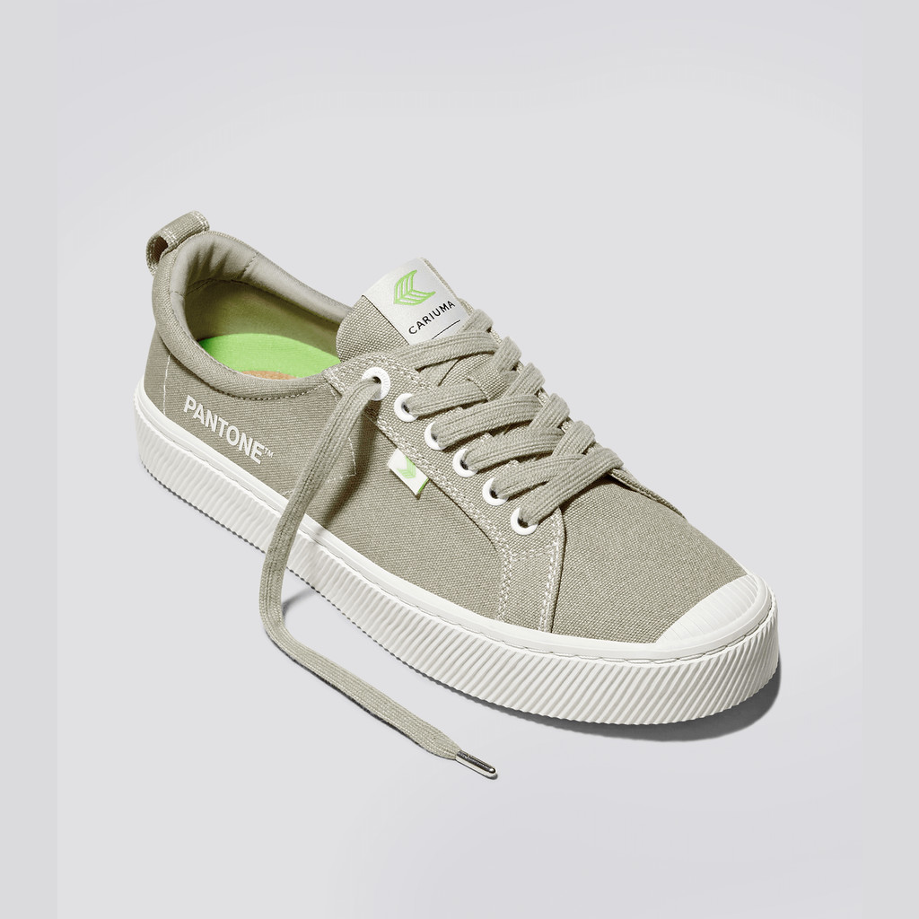 Men Cariuma Low Top Canvas OCA LOW Plaza Taupe | 817206-DZR