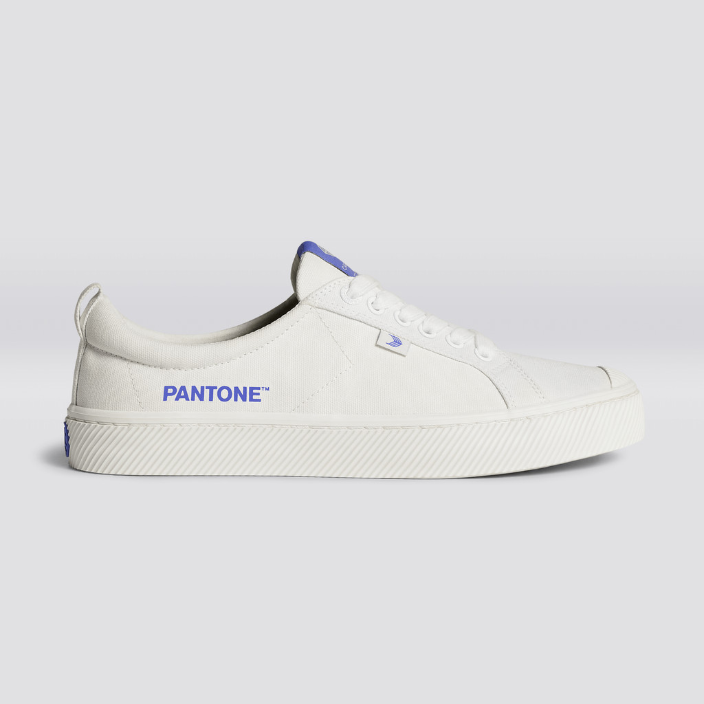 Women Cariuma Low Top Canvas Vegan OCA LOW Off-White / Very Peri Canvas | 326471-JXB